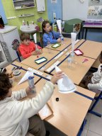 Les Ouistitis fabriquent un sablier